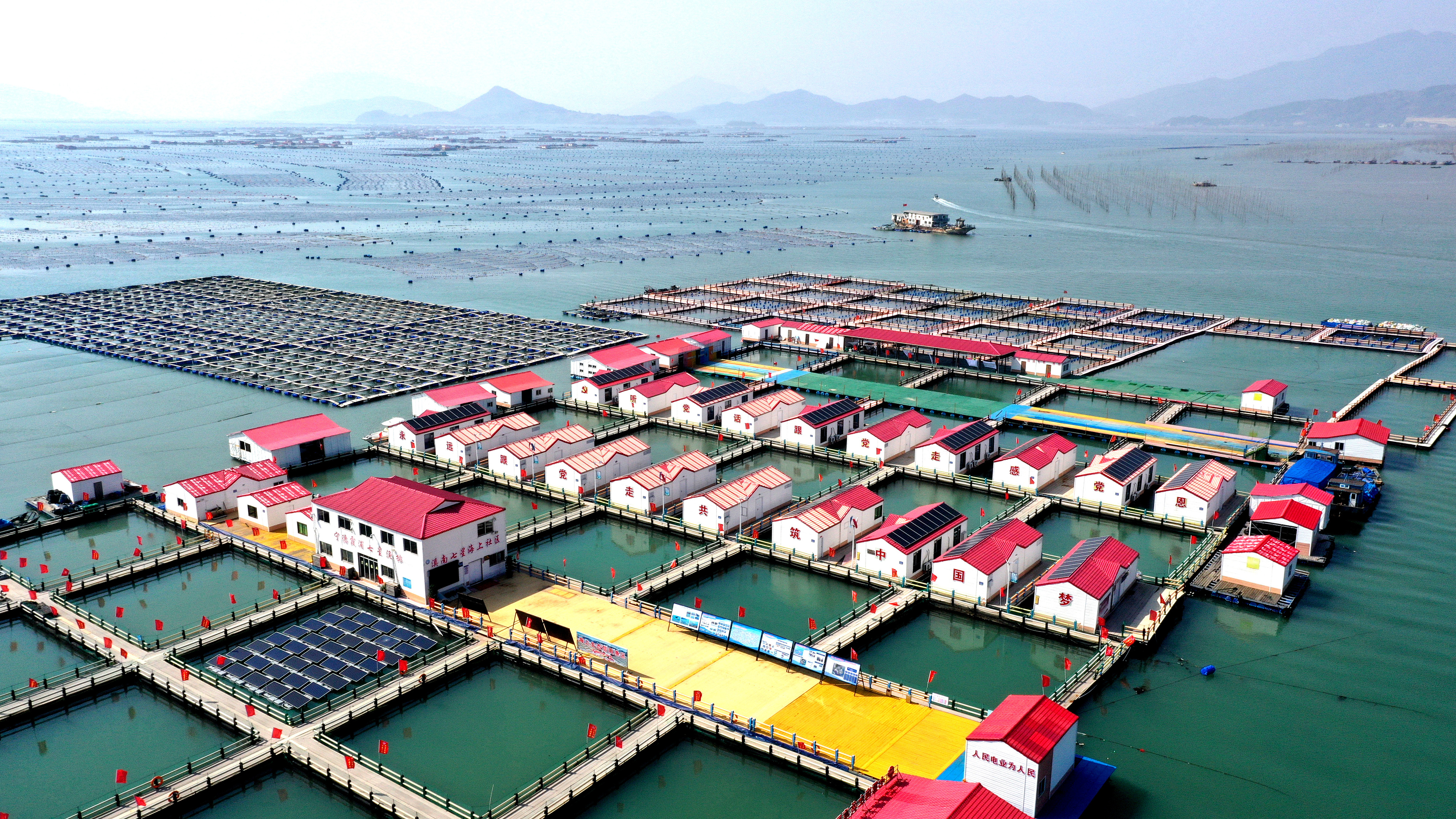 2024年3月20日，福建省寧德市，霞浦縣溪南鎮(zhèn)七星村漁排養(yǎng)殖示范區(qū)，漁民駕駛養(yǎng)殖船進行海參養(yǎng)殖作業(yè)。