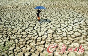 印度44℃高溫創(chuàng)紀錄 已熱死80人(圖)