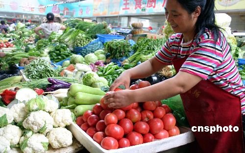 菜價持續(xù)高位運行 預(yù)計后期止?jié)q回落