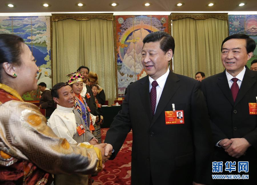 （XHDW）（2）習(xí)近平參加西藏代表團審議
