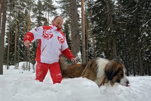 普京帶著寵物犬在雪地里散步。