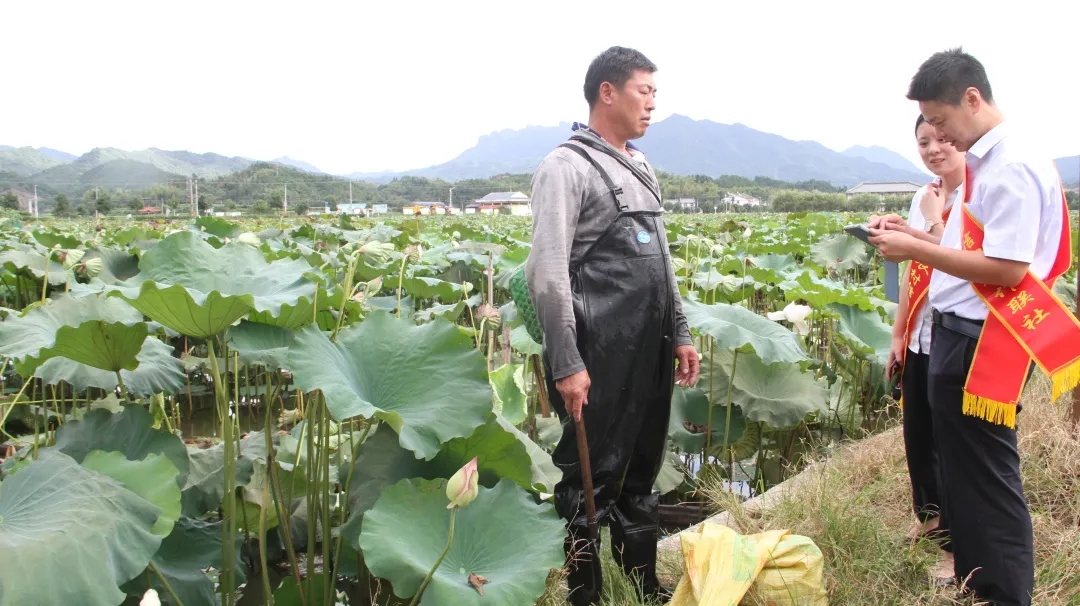 建寧聯(lián)社金融助理為蓮農提供金融服務.webp.jpg
