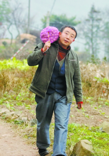 張義波行走在家鄉(xiāng)熟悉的田埂上。 