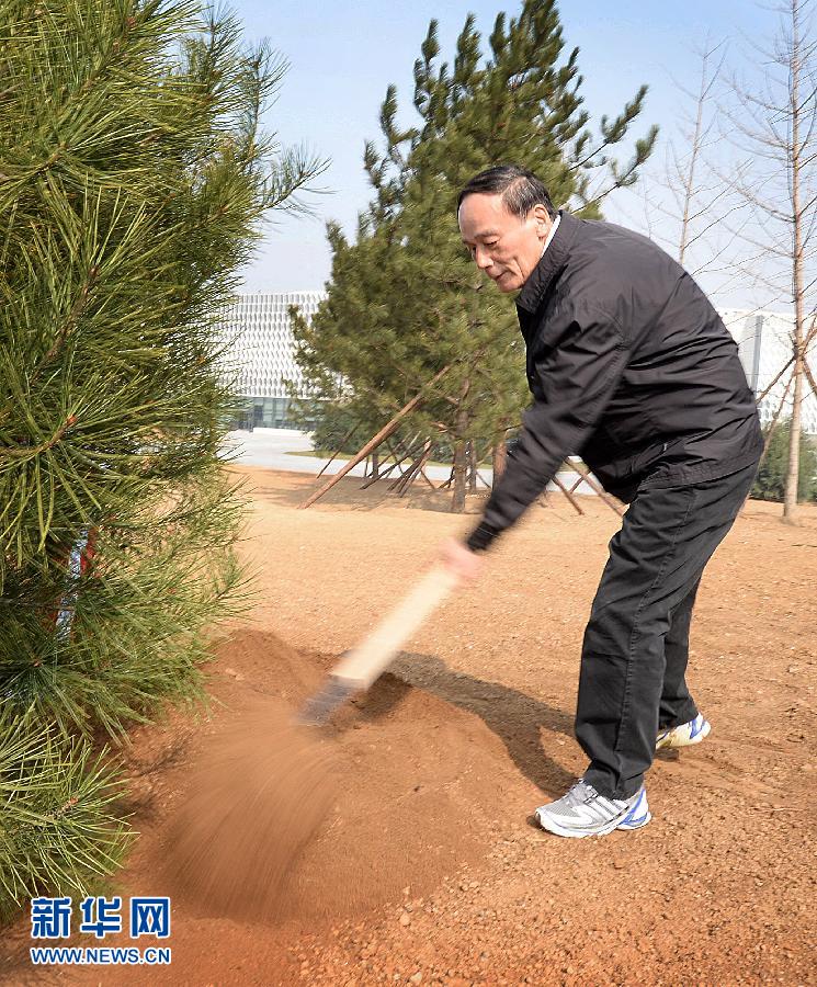（XHDW）（5）黨和國(guó)家領(lǐng)導(dǎo)人參加首都義務(wù)植樹(shù)活動(dòng)