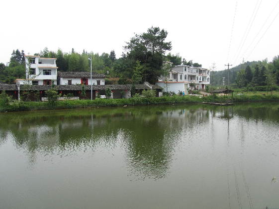 南坑村村容整潔，環(huán)境優(yōu)美。